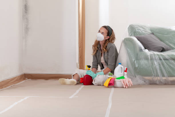 Reliable Mold Remediation contractor in Stantonsburg, NC by WQB Mold Removal